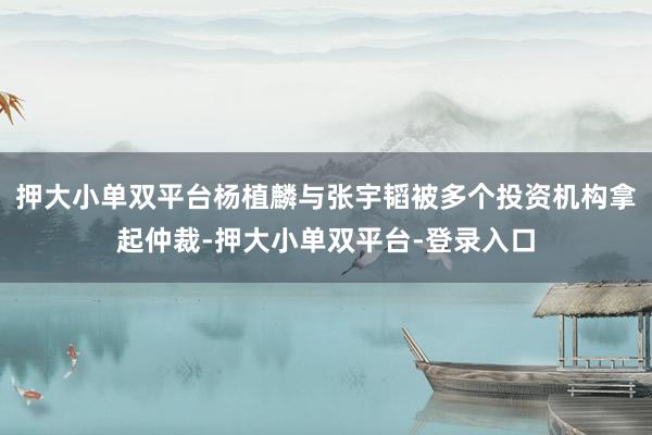 押大小单双平台杨植麟与张宇韬被多个投资机构拿起仲裁-押大小单双平台-登录入口